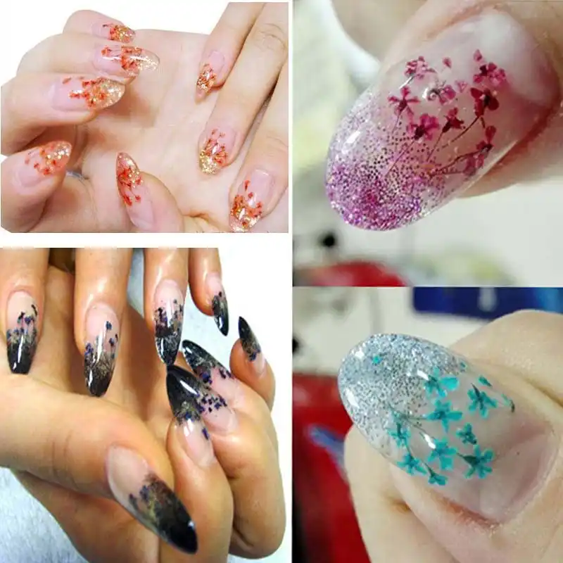 12 Bottles Mixed Color Colorful Real Natural Dried Pressed Flower Professionail Nail Art Diy Design Nail Art Mixed Colordried Flowers Nail Art Aliexpress