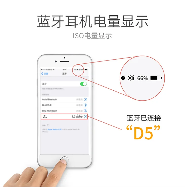 D5_15 (3)