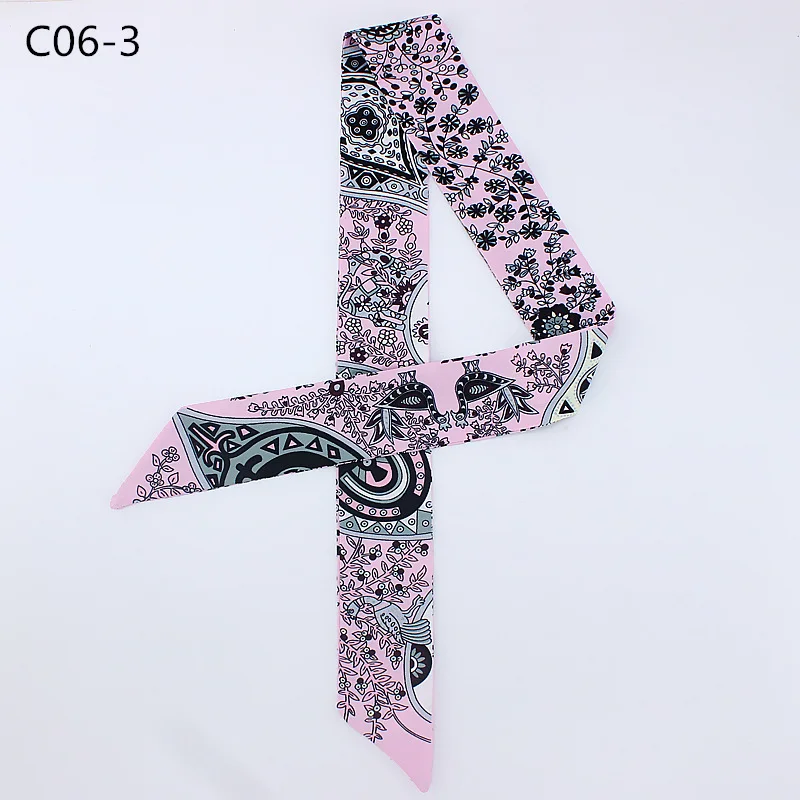 C06 (3)