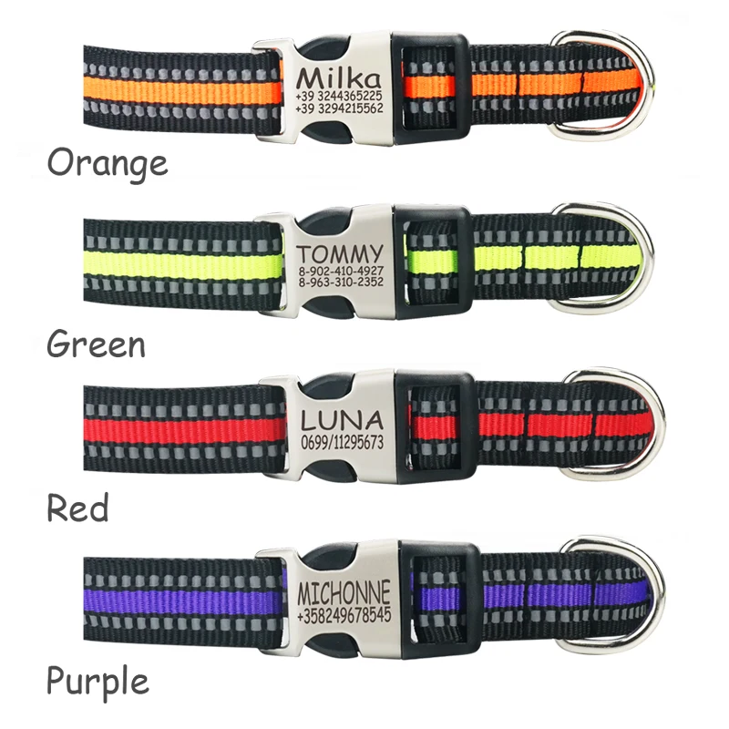 Nylon Personalized Engraved Dog Collar  2 Nylon Personalized Engraved Dog Collar  2