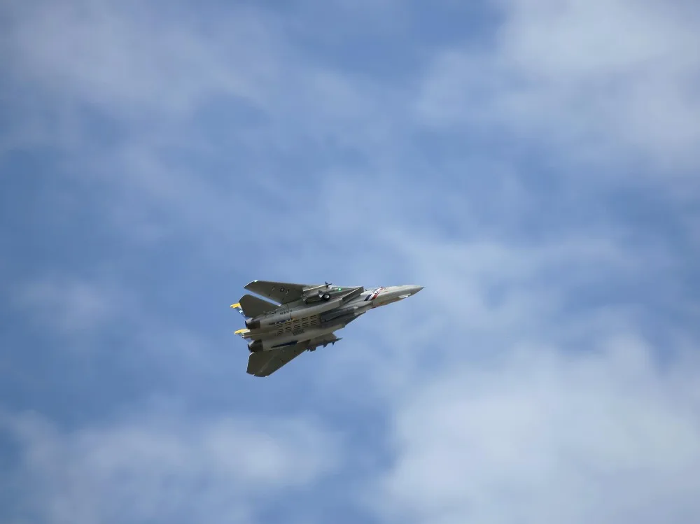 Freewing двойной 80 мм rc Самолет jet модель F-14 Tomcat с переменной развертки комплект крыла с сервоприводами