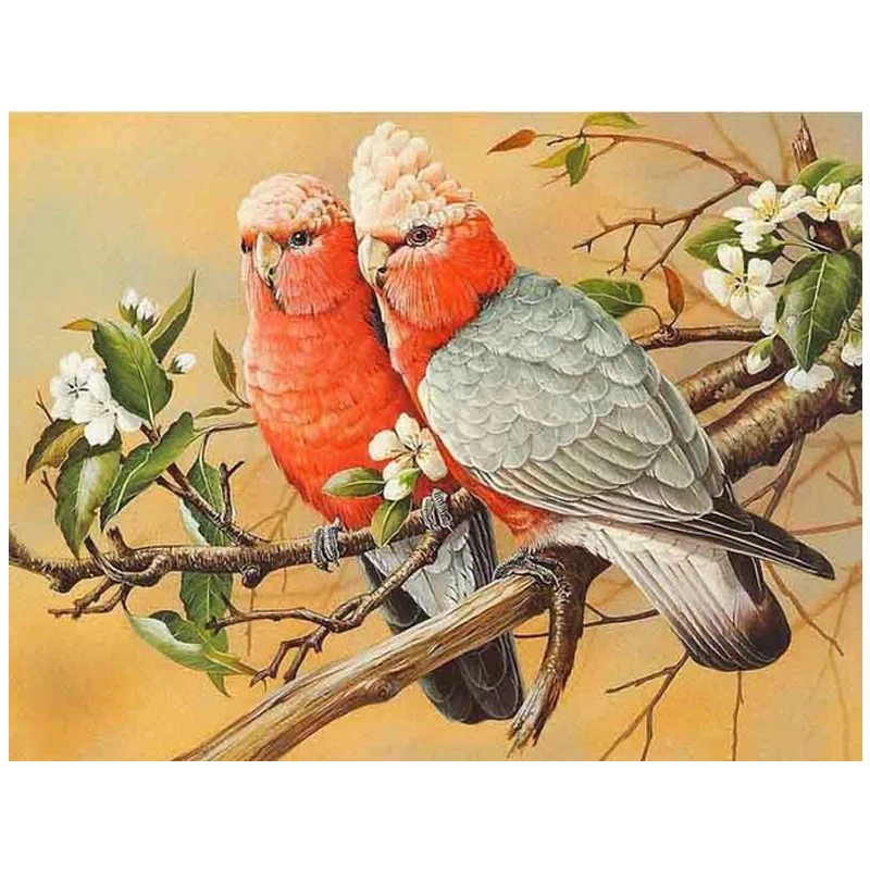 

5D Diy Diamond Panting Cross Stitch parrot couple Picture Rhinestones Diamond Embroidery Mosaic Needlework OrganizerZP-183