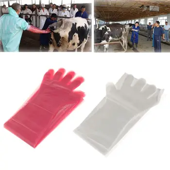 

50Pcs Disposable Gloves Pack Long-Arm Veterinary Exam Hand Protection Tool Soft Plastic For Farm Medical Production Animal