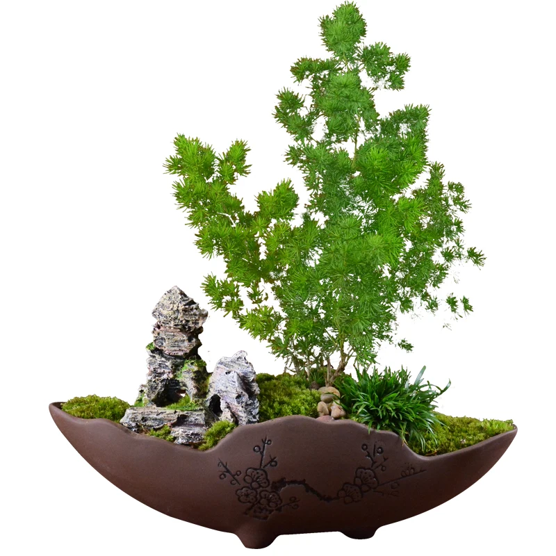 Chinese style purple sand pot green planting pot personality creative combination small flower pot handmade classical basin