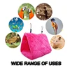 Pet Products