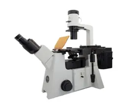 YG-50 перевернутый флуоресцентный микроскоп