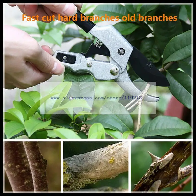 Садовые ножницы инструмент для прививки фруктовых деревьев секаторы бонсай секаторы садовые ножницы секаторы легкие