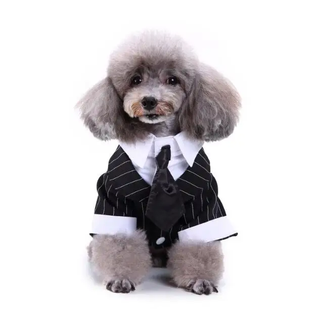 Джентльмен Одежда для собак кошек принц Свадебный костюм милый Cachorro Mascotas костюм полосатый галстук-бабочка для смокинга щенок пальто поставки - Цвет: 4