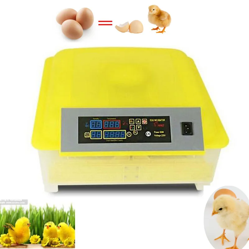 

Capacity 48 eggs hatching incubator commercial electric Digital Temperature Control poultry incubator machine
