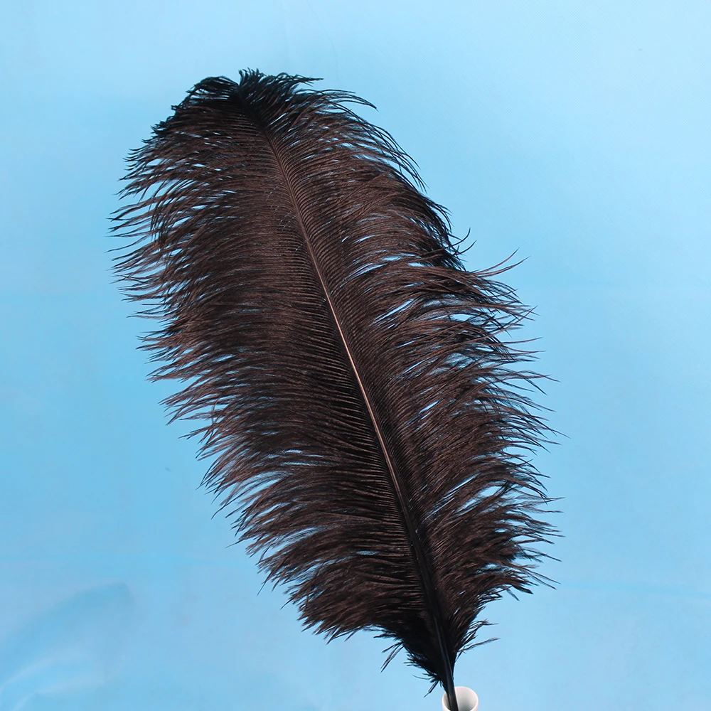 Natural black feathers wholesale 40 45 cm10 PC 16 18 inches/centimeters
