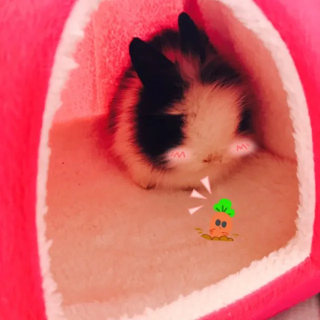 Cute Small Animal Rabbit Guinea Pig Hamster house winter warm squirrel hedgehog chinchilla House cage Nest Hamster accessories