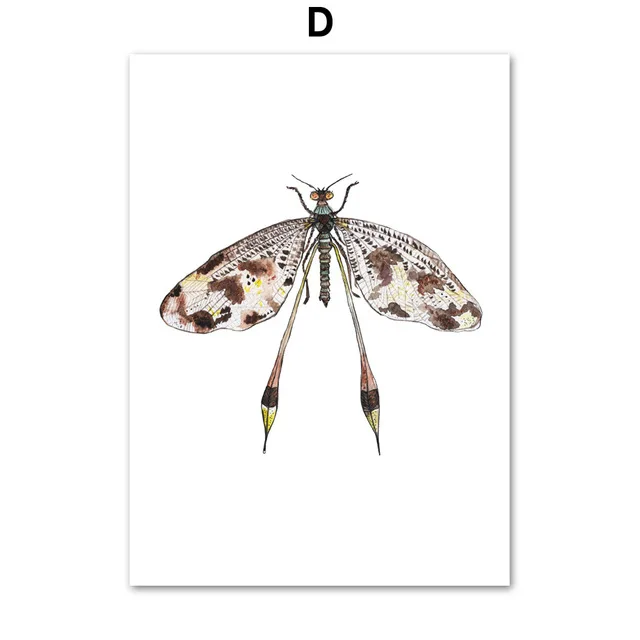 Colorful-Dragonfly-Wall-Art-Canvas-Painting-Nordic-Posters-And-Prints-Animals-Wall-Pictures-For-Living-Room.jpg_640x640 (3)