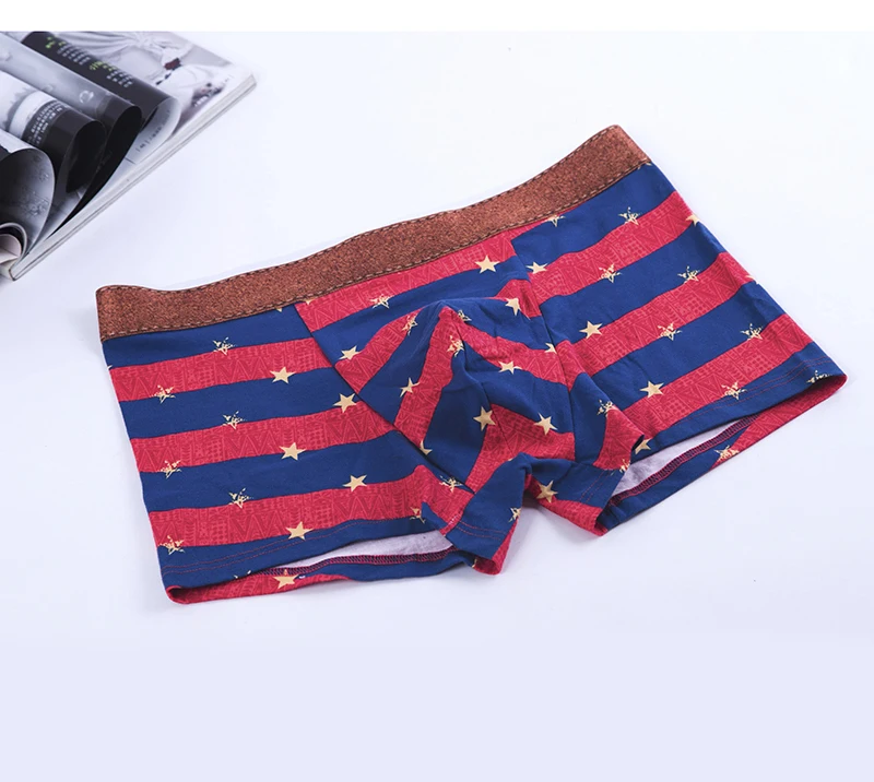 2017 Brand Underwear Men Sexy Panties Men's Loose Panties Mens Underwear Trunks Underpants Boxer Cueca Calvn Boxer Hombre06