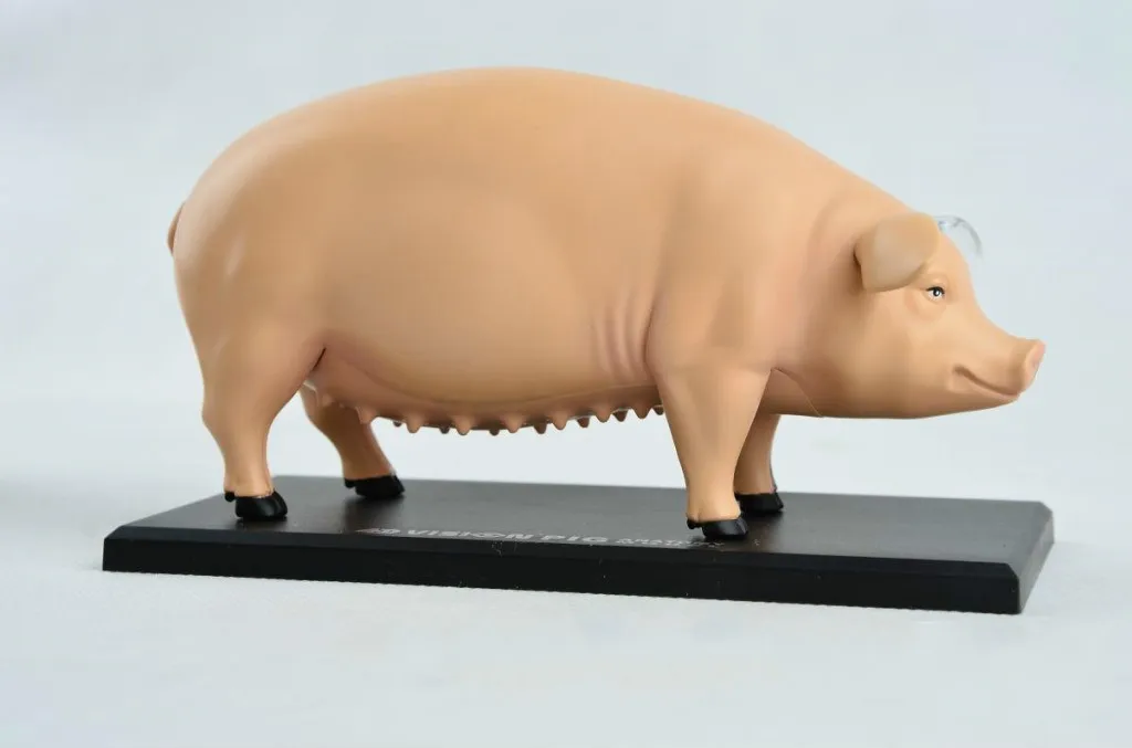 Дети DIY игрушки в сборке свинья анатомическая модель 3D головоломка сборная животная модель головоломки для детей Детская умная обучающая игрушка