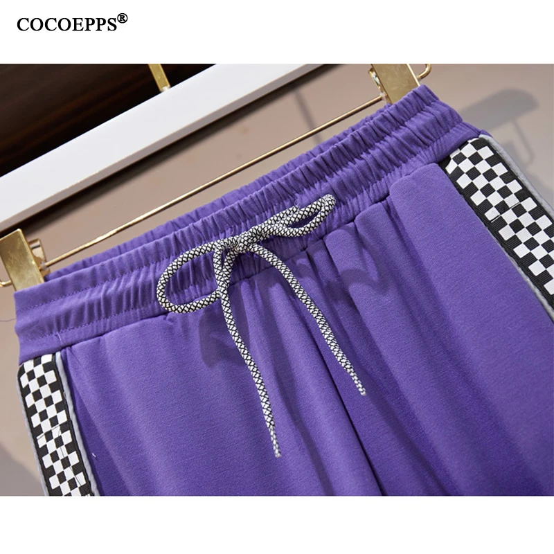 COCOEPPS  10