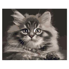 Маленькая кошка DIY Цифровая живопись маслом по номерам художественная картина украшение стены с инструментами идеальный подарок на Рождество День рождения P1248