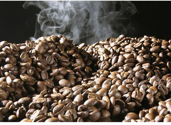 Alta qualidade 800g de café torrador de feijão para a venda