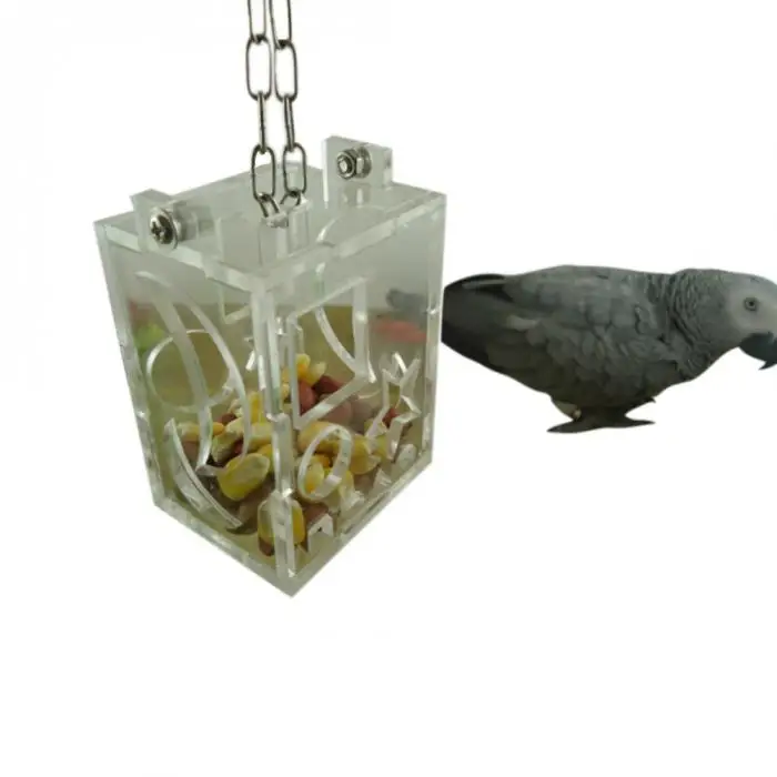 Parrots Food Feeder Hanging Feeding Toy Birds Bell Foraging Chain Round Square Bird Feeder Best Price