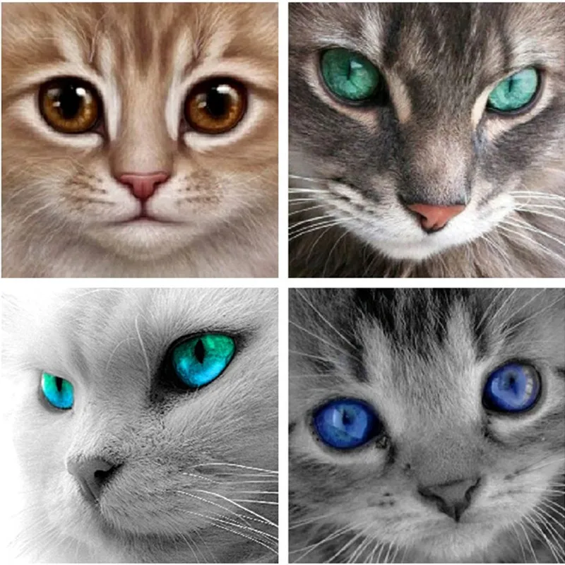 

Full Drill Round Diamond 5D DIY Diamond Painting"Cat Face"Diamond Embroidery Cross Stitch Rhinestone Painting