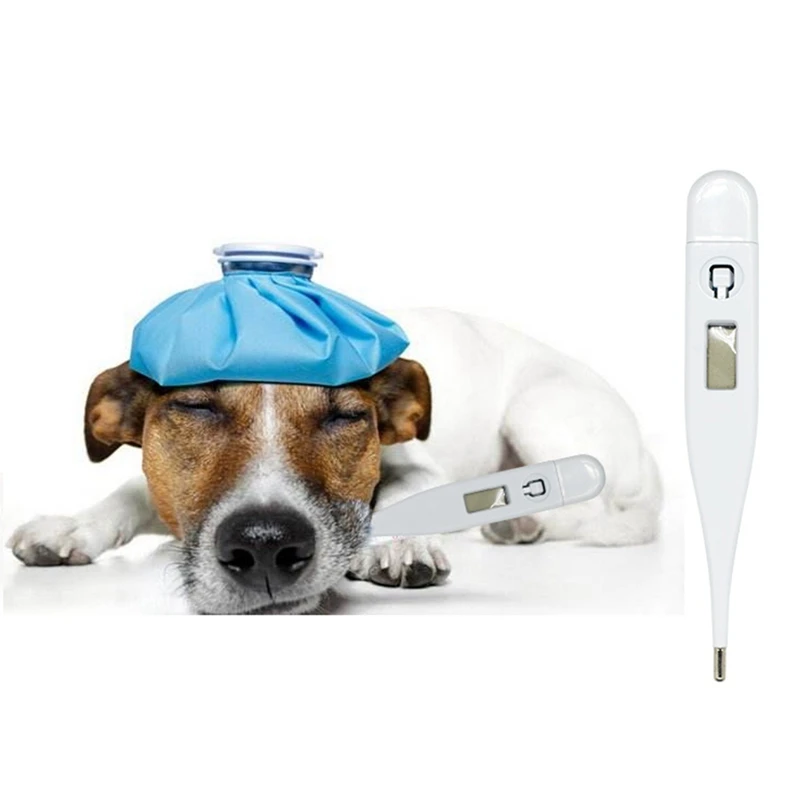 Pet Dog термометр кошка электронный термометр Pp экологический материал не-hydrel безопасный и удобный Pet цифровой термометр