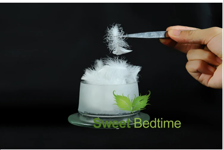 goose-feather_04
