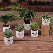 6 Styles Creative Ceramics Planter Flowerpot Cute Expression Garden Succulent Plants Desk Flower Pot Garden Decoration