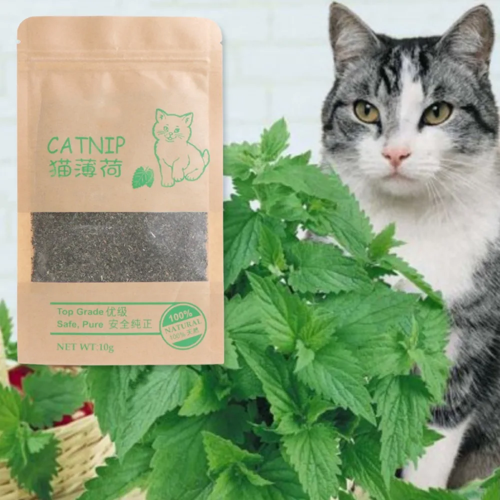 Кайф кошка. Catnip lewds. Catnip lewds. Catnip nepeta cataria. Catnip lewds.