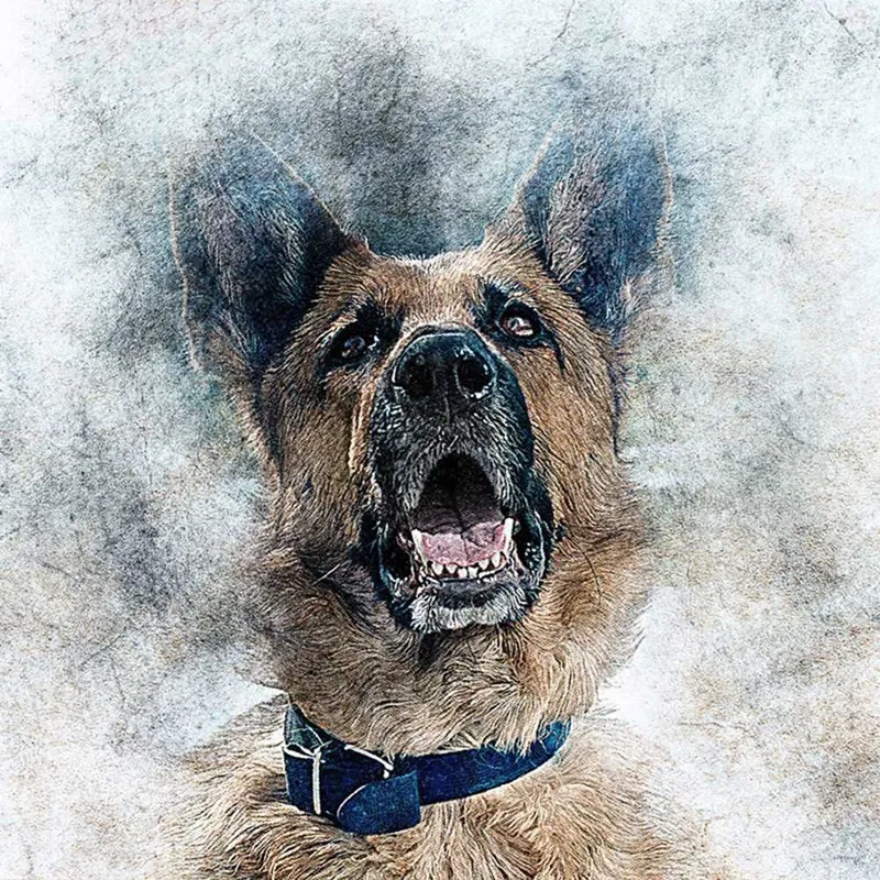 

New 5D Diy Full Square Diamond Painting Animal Dog Embroidery Diamond Picture Of Rhinestone Decoration Home