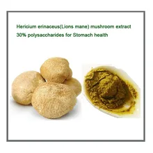 Бесплатная Доставка 200 г/лот hericium гребенчатый (гривы Львов) гриб извлечение 30% полисахариды для Желудка здоровья