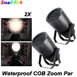 2 шт./лот 200 Вт COB Zoom 15-55 градусов Par Light теплый белый/белый дополнительный Par Light DJ DMX512 контроллер для дискотеки праздничное освещение