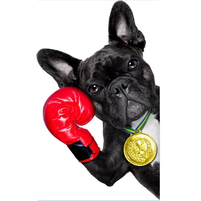 Download Boxen lustig Desktop Wallpaper Free Boxen Lustig