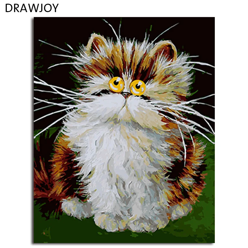 

DRAWJOY Framed Picture Painting & Calligraphy Of Loely Animals Cat DIY Painting By Numbers Coloring By Numbers Home Decor