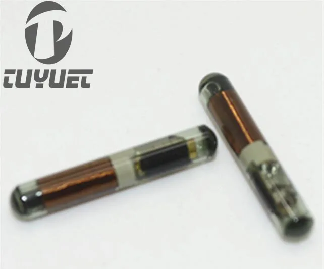 4C Glass Chip3