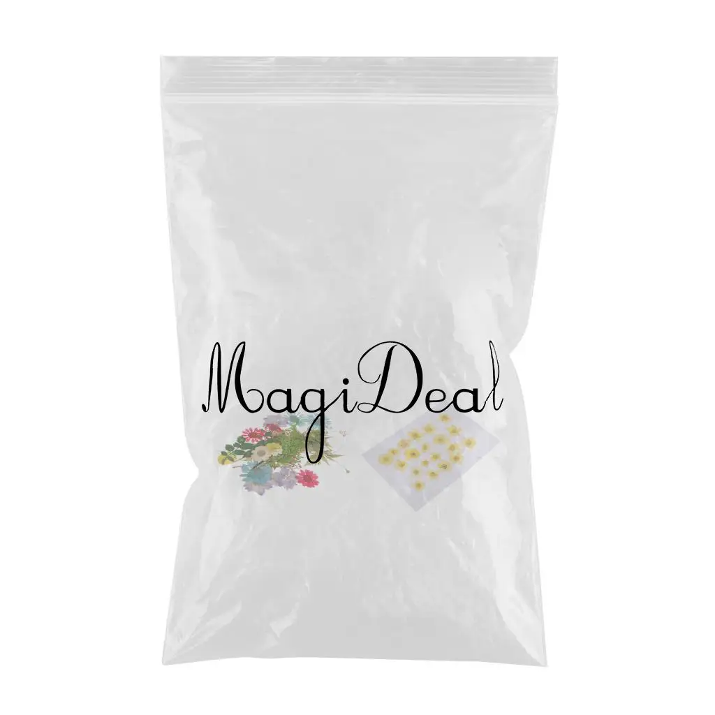 Pack of 50pcs Natural Dried Flower Real Flower Mixed For DIY Resin Ornament Craft Card Making Scrapbooking Embellishments