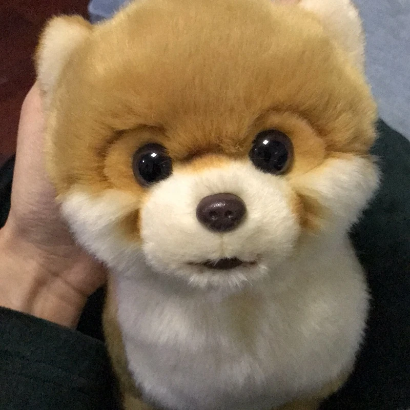 Dorimytrader lovely mini animal Shiba Inu plush toy soft quality animals akita dog doll baby gift decoration 28x22x13cm DY50136  (17)