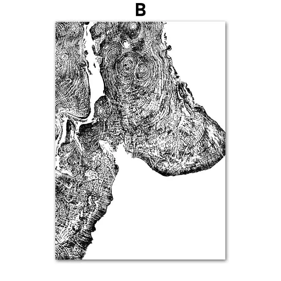 Абстрактное дерево кольцо настенное Искусство Холст Живопись скандинавские плакаты и принты черно-белые настенные картины для гостиной художественный принт Декор - Цвет: B