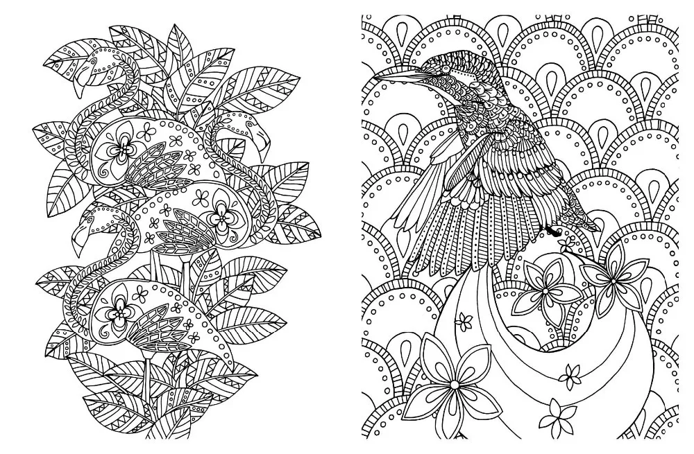 Posh Adult Coloring Book Soothing Designs For Fun And Relaxation English Antistress Books Adults Art In From Office