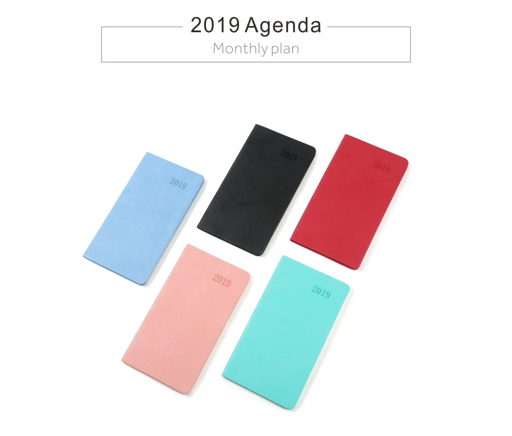 2019 01