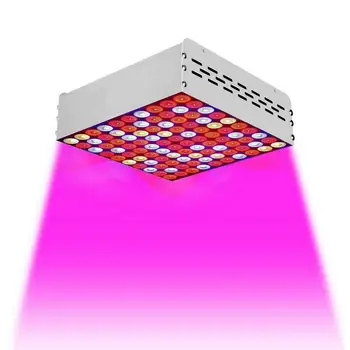 

LED grow light 1000W Full Spectrum for Indoor Greenhouse grow tent plants grow led light