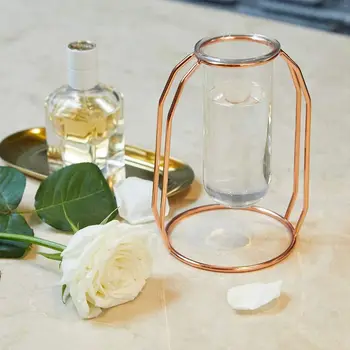 

Vases Set of 2 Metal Flower Glass Planter Terrariums Gold Plant Glass Cylinder Vases for Decor Clea