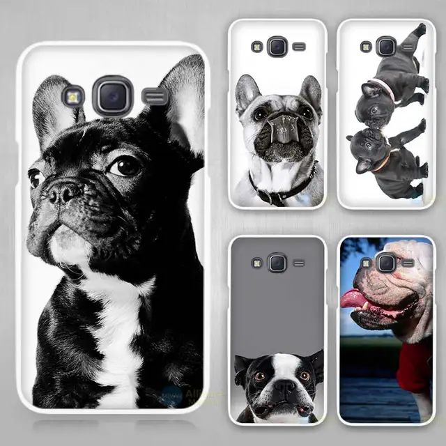 coque samsung s8 bouledogue français