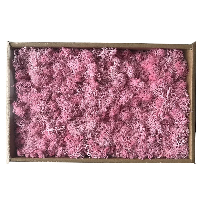 011 Подарки на день матери 200 г DIY украшения длительный срок сухой мох цветок для интерьера все виды оттенков - Цвет: 011
