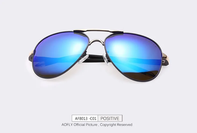 AF8013_06