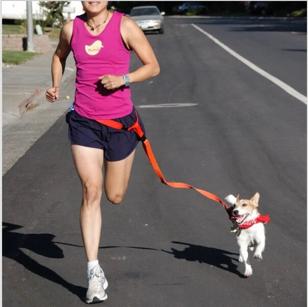 

1set Pet Dog Puppy Hauling Cable Collars Leads Traction Belt For Running Rope Leash Training Suppliers