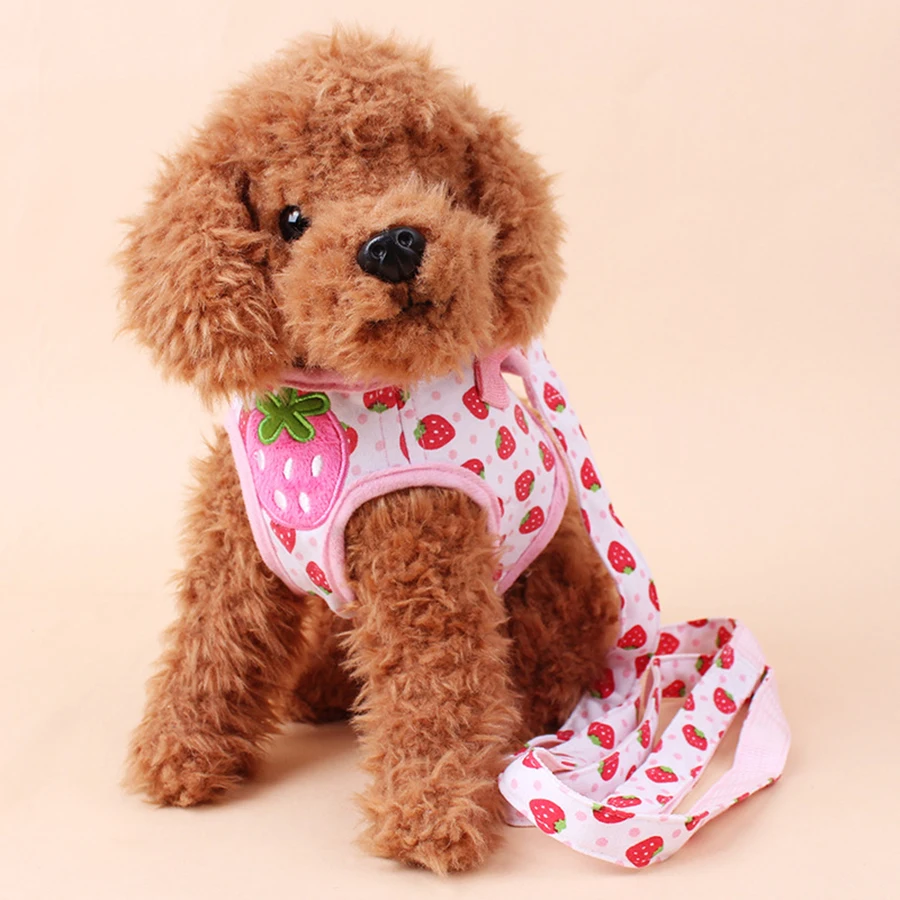 Sweet Type Pet Supplies Breathable mesh Harnesses Collar Leader Leash