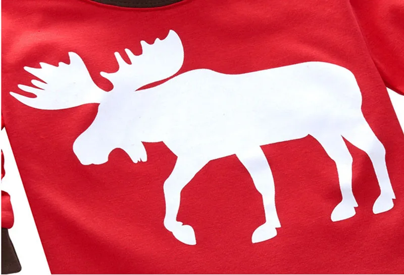 3442407961_244429229