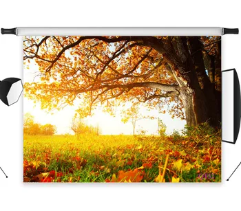 

LB Polyester & Vinyl Beautiful Warm Autumn Fallen Leaves Studio Backdrop Photography Photo Props Photographic Background Decor