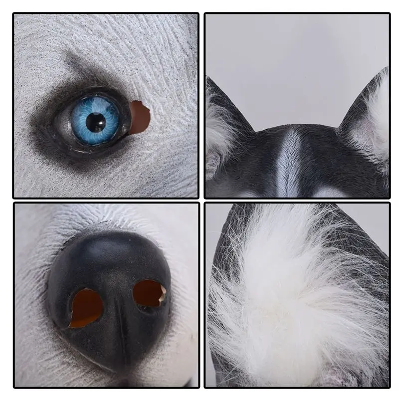 HTB1qrxIRXXXXXa7XFXXq6xXFXXXW