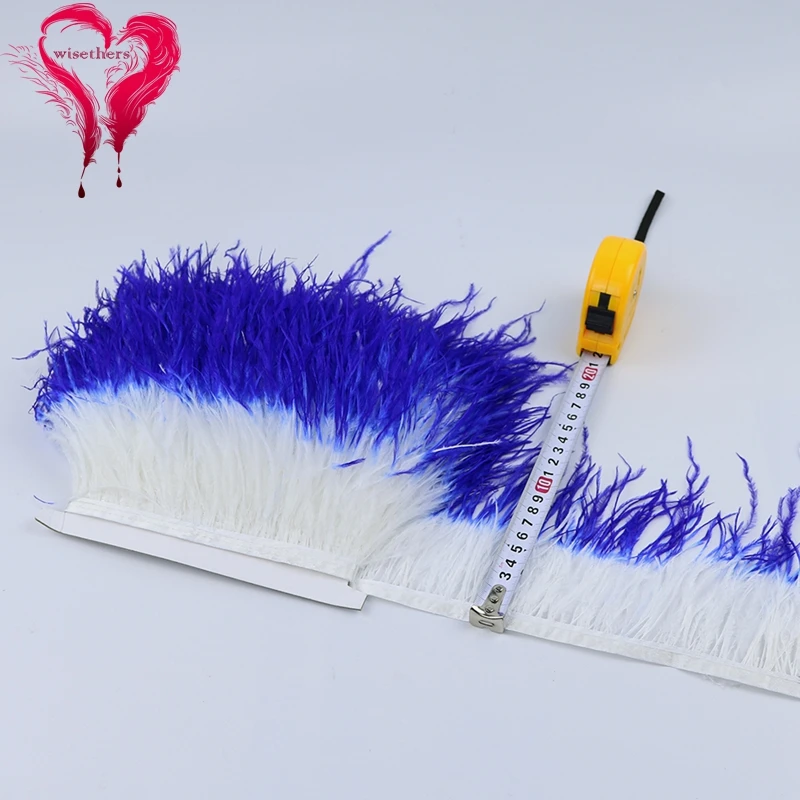 5 white and royal blue ostrich trims 5