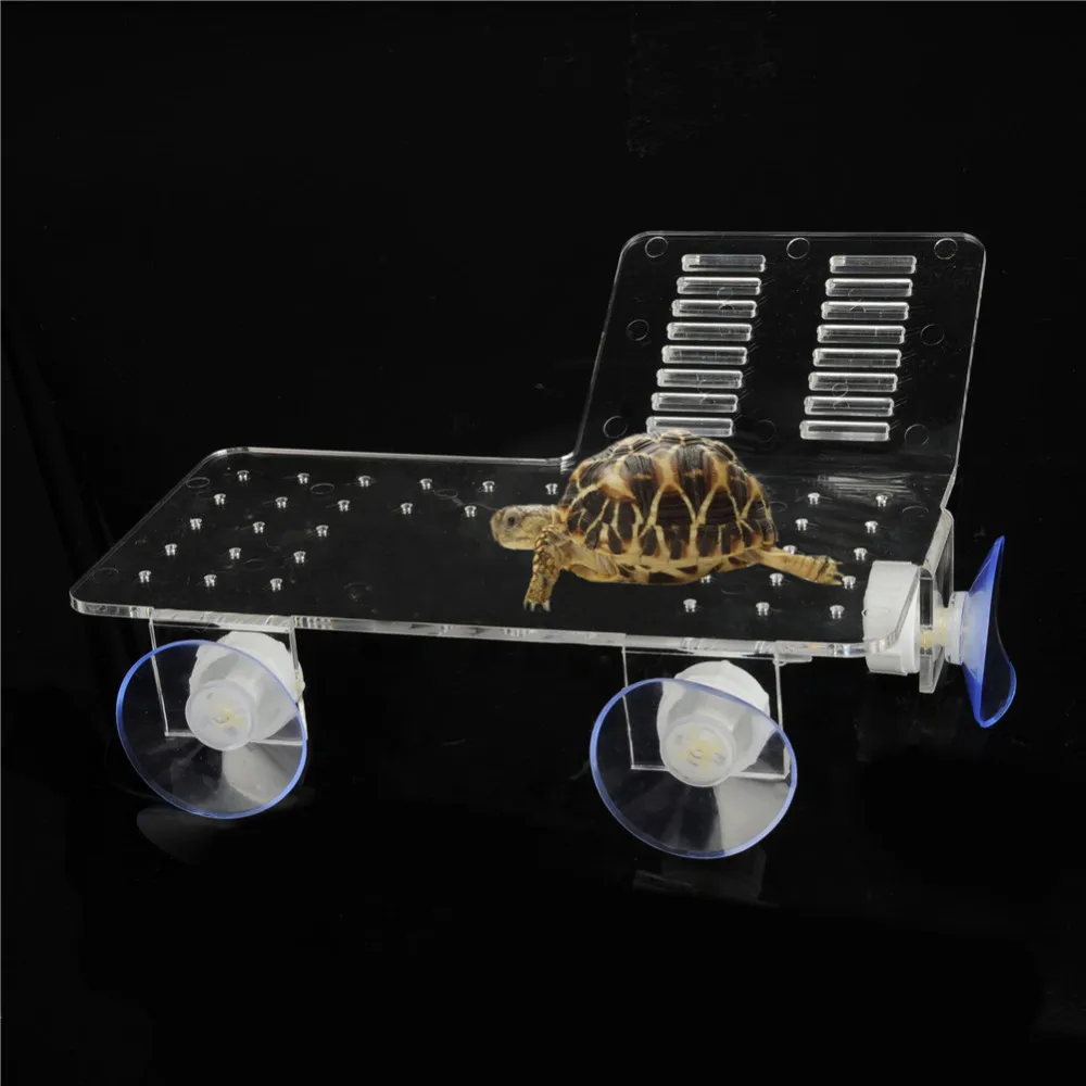 YW208Transparent  (3)